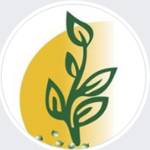 Biocarve Seeds Profile Picture