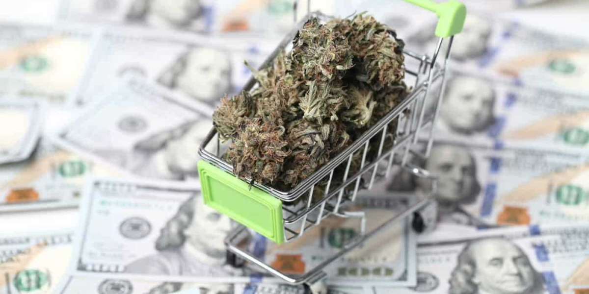 10 Steps for Cannabis Retailers to Launch their Own Dispensaries