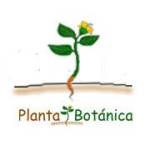 Planta Botánica Profile Picture