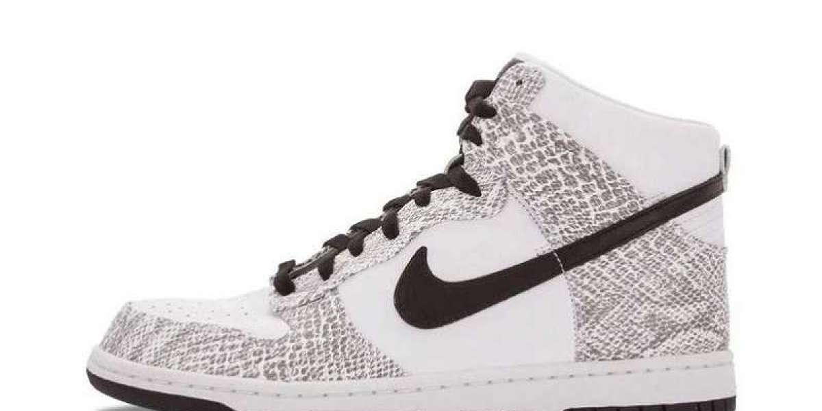 Nike SB Dunks On Sale initiative is there