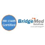 Bridgemed Solutions  Inc Profile Picture