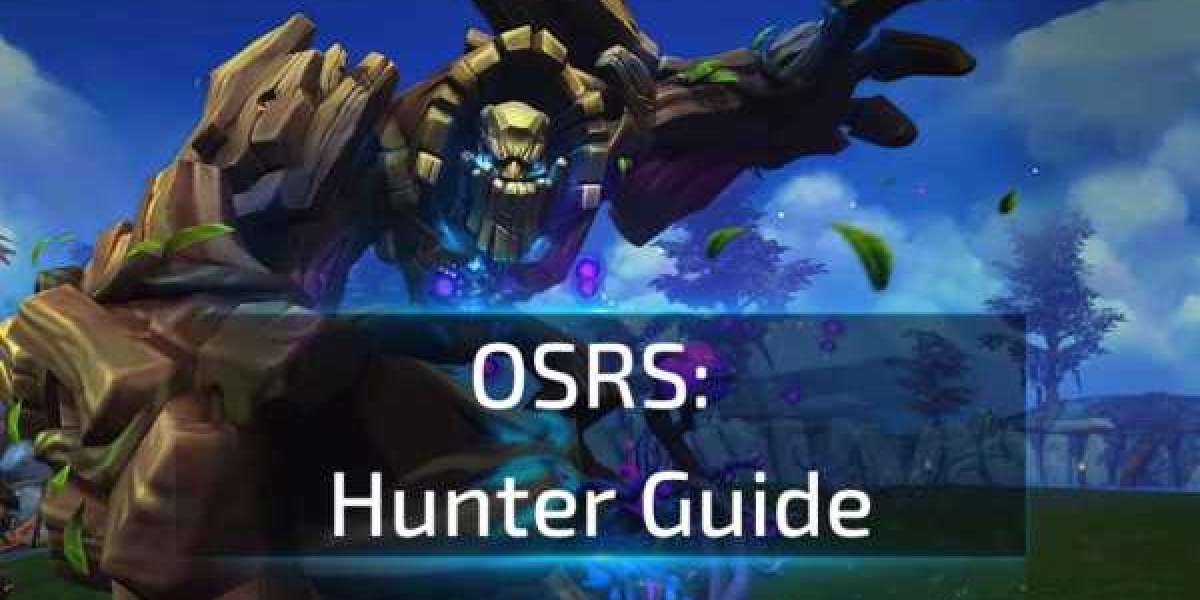OSRS Hunter Guide