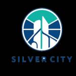 Silver city Rawalpindi Profile Picture