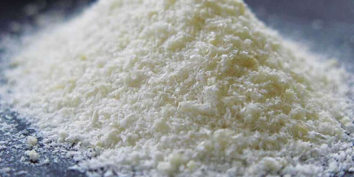 Chitosan Market Size, Share, Demand & Trends by 2031