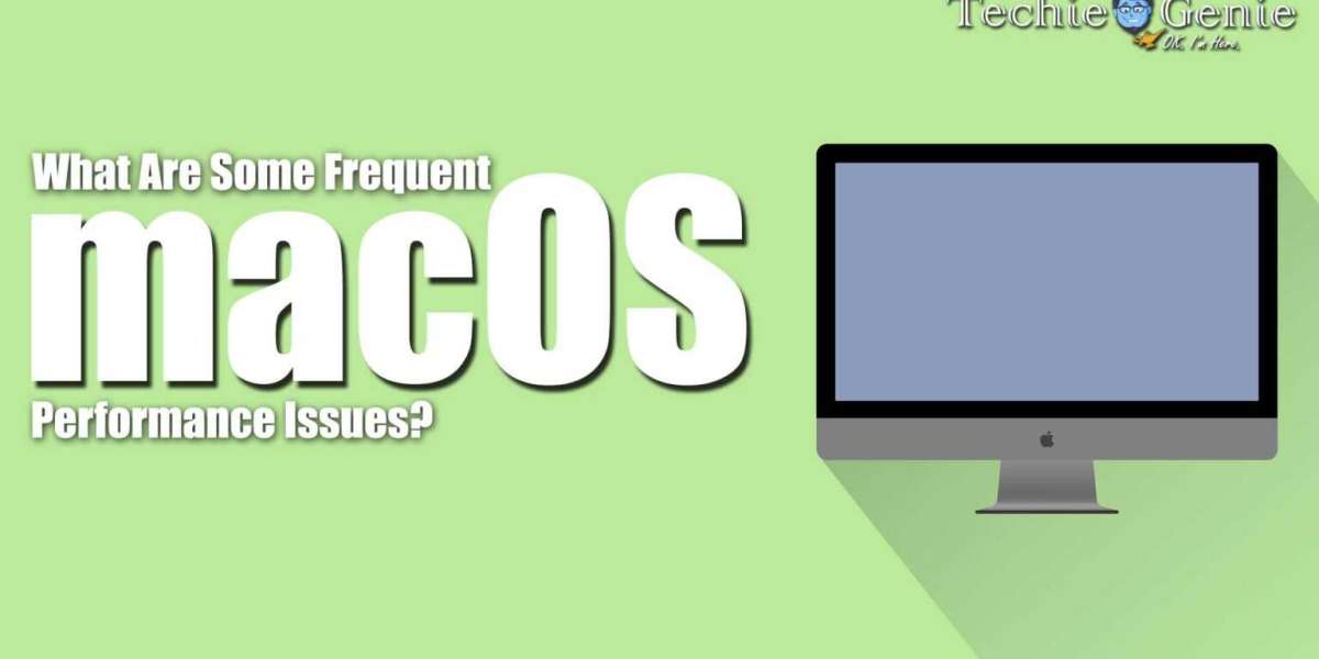 What Are Some Frequent macOS Performance Issues?