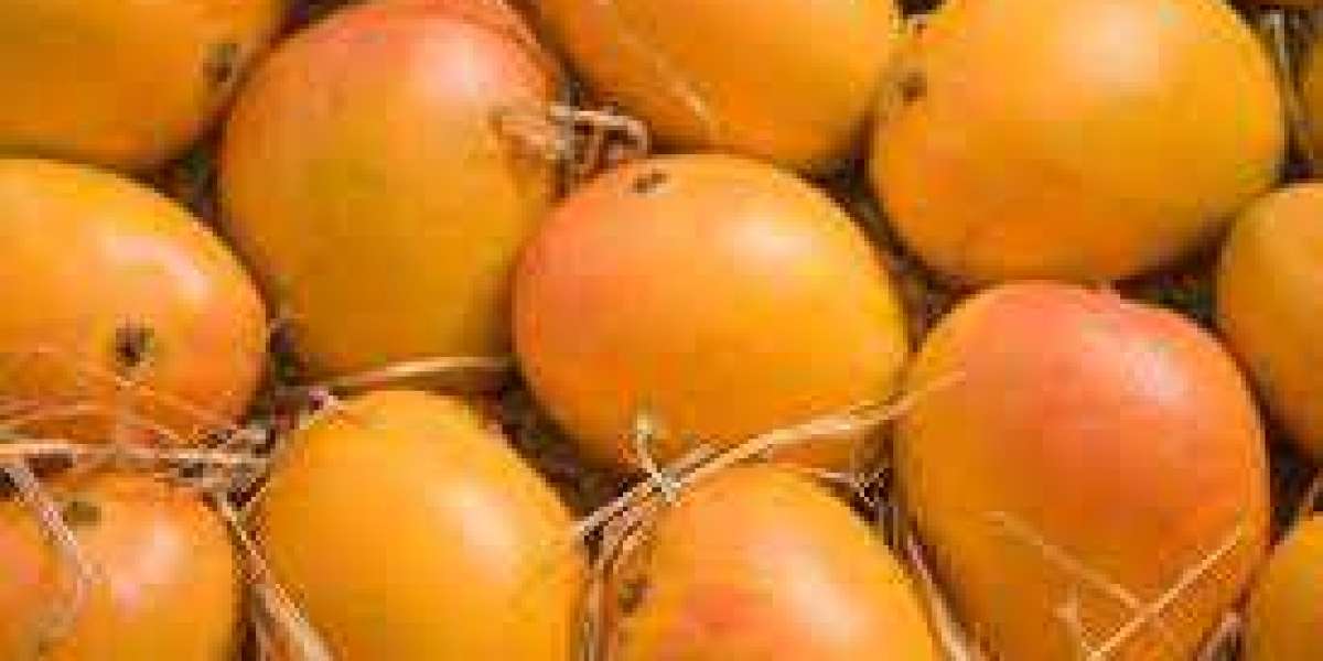 All you need to know about Alphonso Mangoes