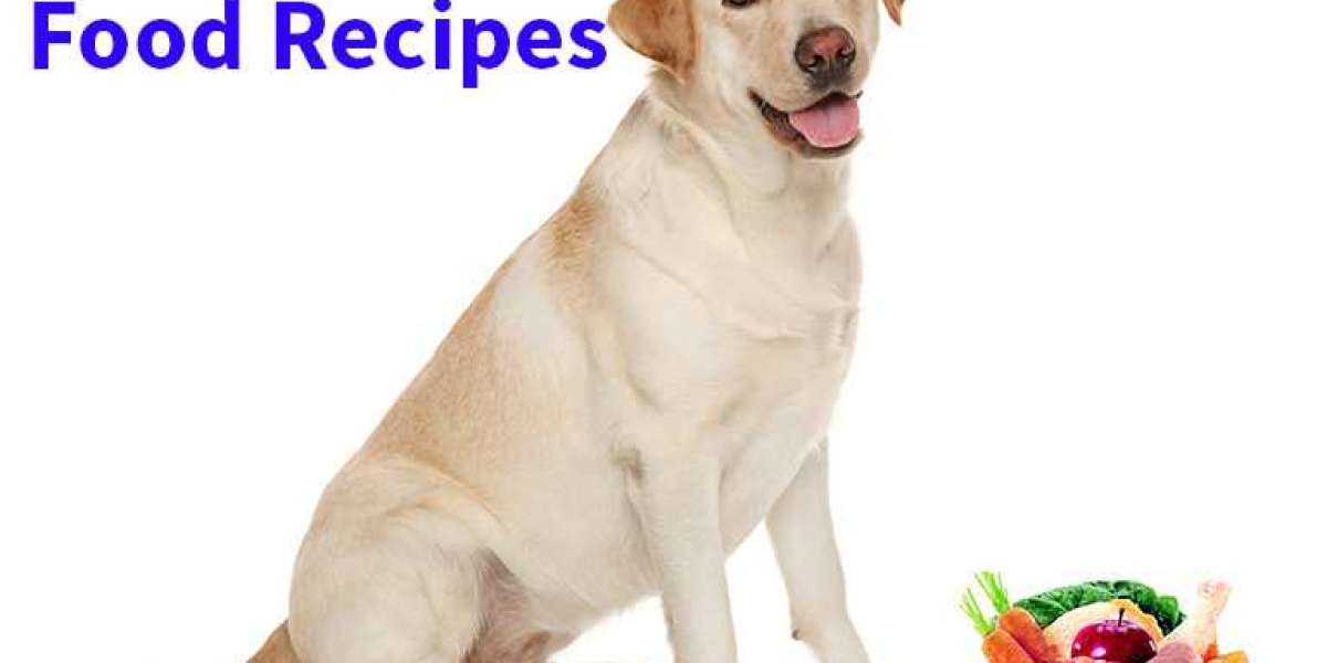 DIY Dog Food: Homemade Recipes for Labrador Retrievers