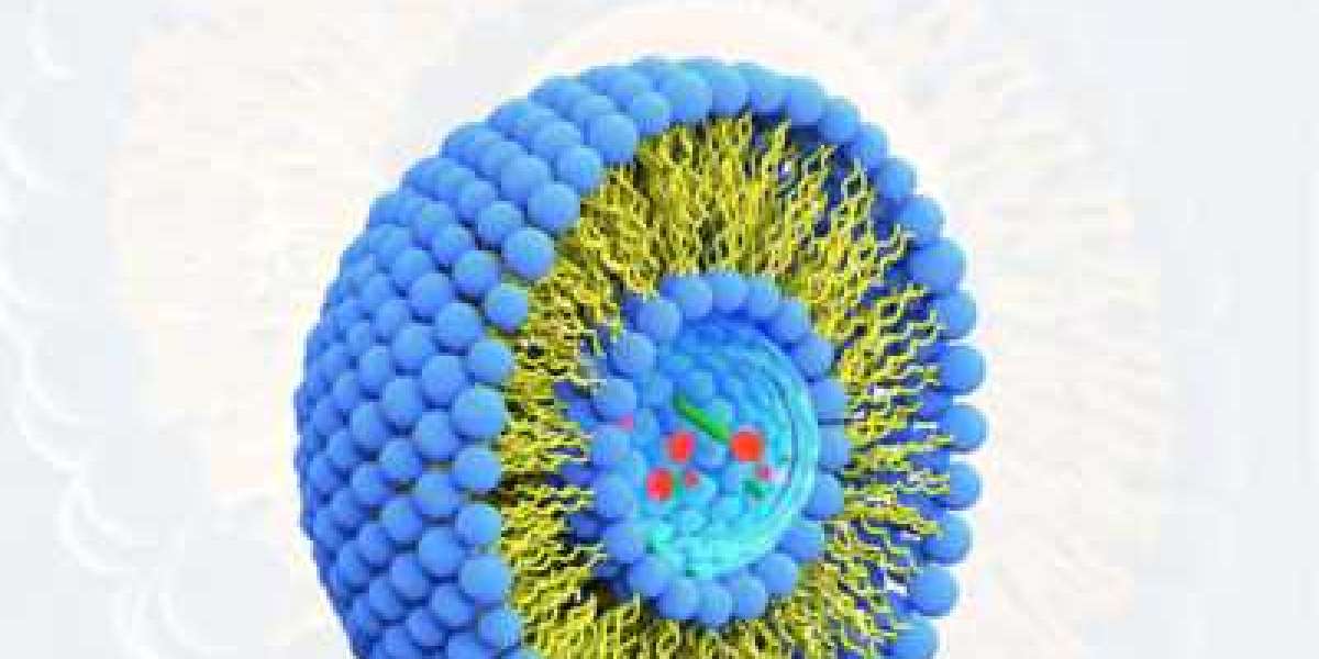 Liposome Drug Delivery Market Deep Company Profiling Of Leading Players 2022-2029