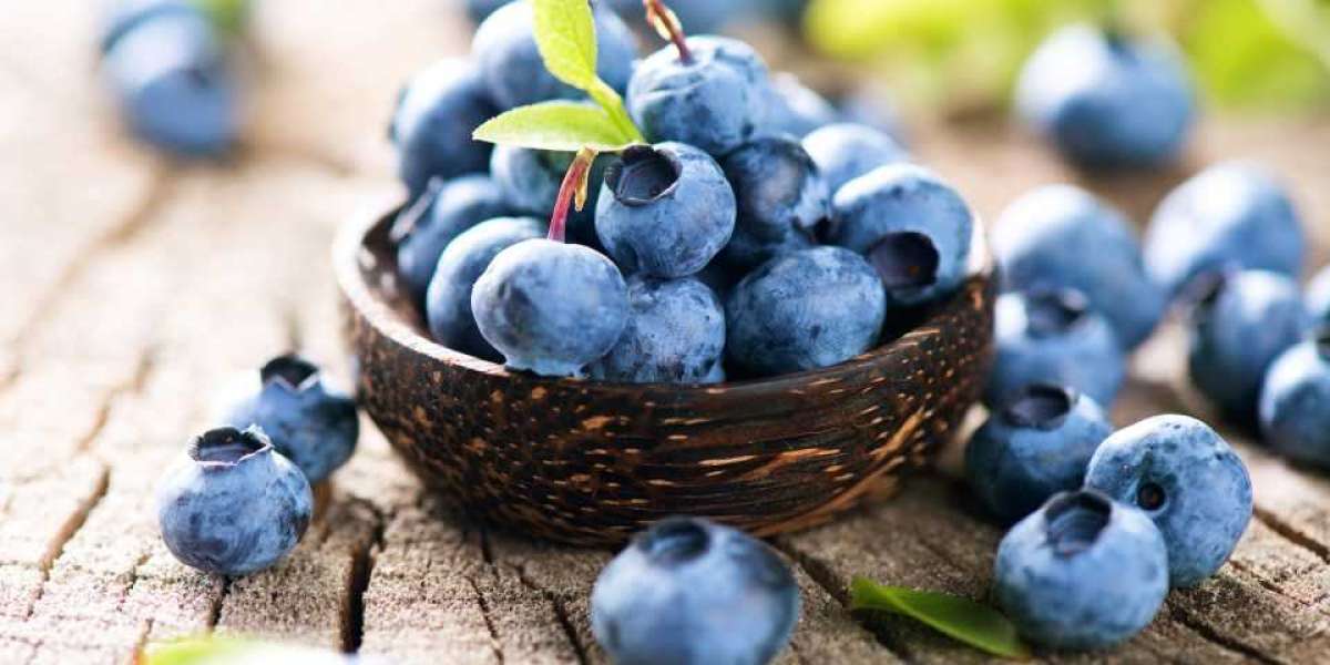 Blueberries Have Many Health Benefits
