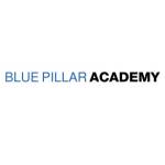 Bluepillar Academy profile picture