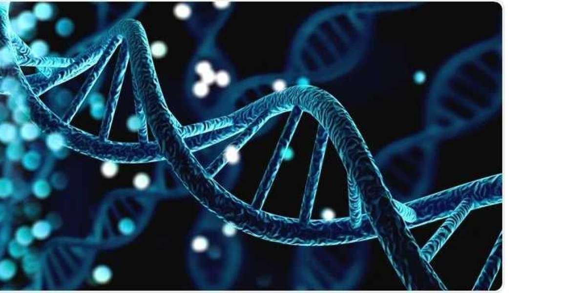 DNA Methylation Market: A Look at the Key Applications and Technologies