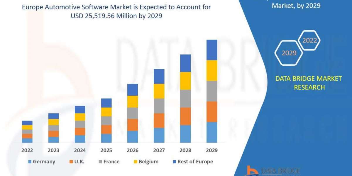 Europe Automotive Software Market Overview, Future Scope, & Industry Analysis