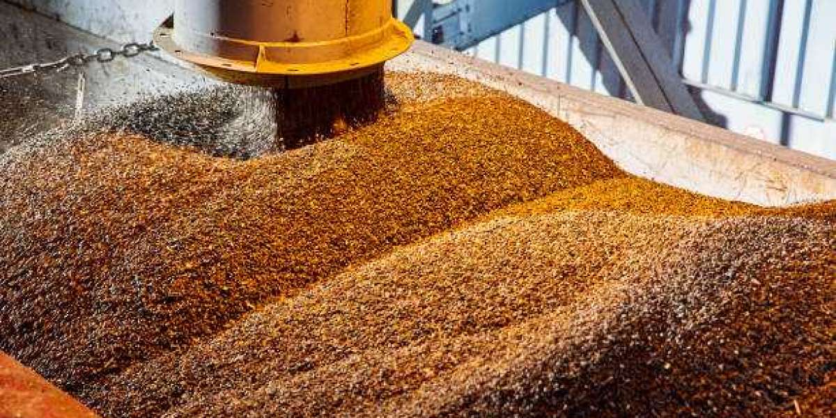 Seed Coating Materials Market Outlook, Revenue Analysis & Region and Country Forecast To 2030