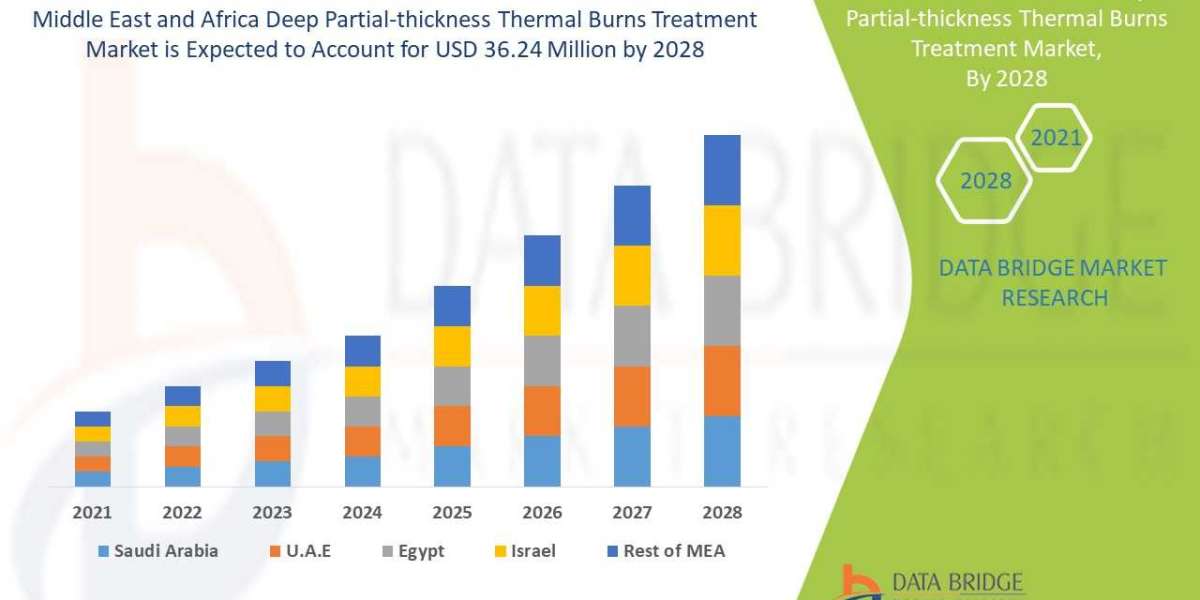 Middle East and Africa Deep Partial-thickness Thermal Burns Treatment Market Growth to Record CAGR of 2.5%up to 2028