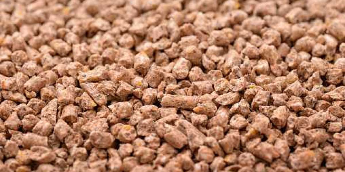 Compound Feed Market Size, Regional Demand, Key Drivers, and Forecast 2030
