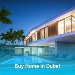 Buy Properties in Dubai Profile Picture