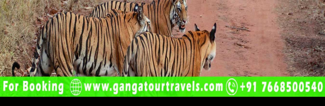 Ganga Tour Travels Cover Image