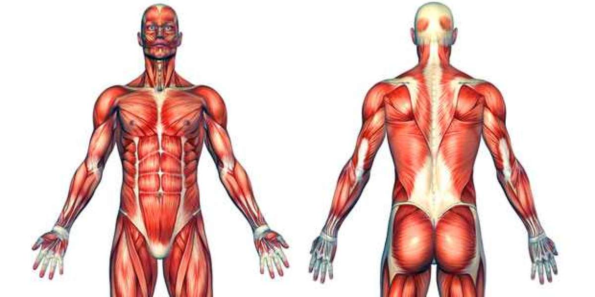 Gaining muscle might be a step in maintaining your health and fitness.