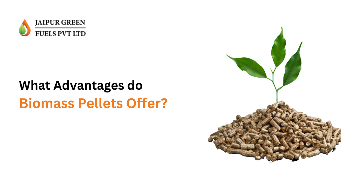 What Advantages do Biomass Pellets Offer?