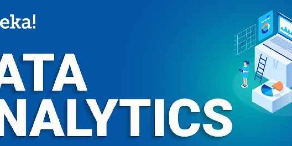 What is Data Analysts interpret?