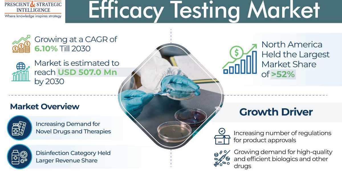 Efficacy Testing Industry Share, Development and Demand Forecast to 2030
