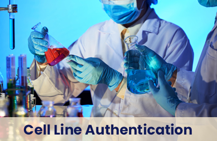 Detect Cross-Contamination Early with Cell Line Authentication!