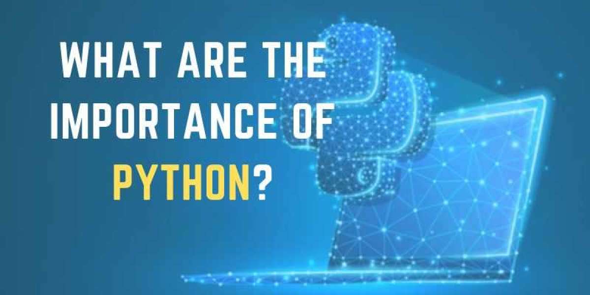 What Are The Importance of Python?