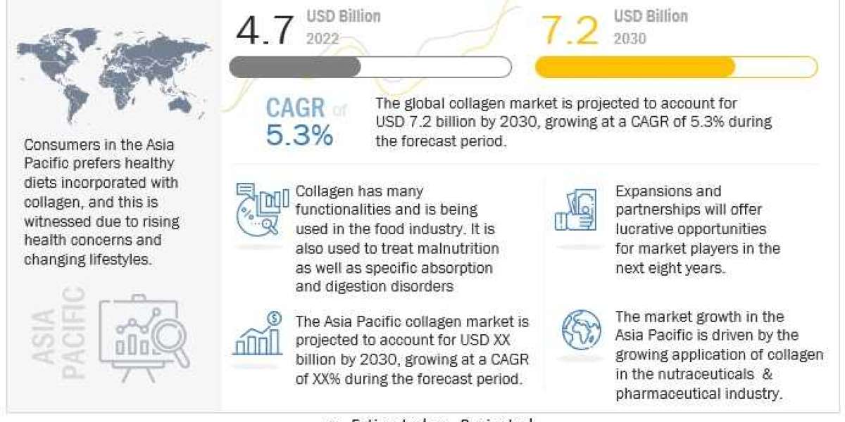 The Global Collagen Market: Trends, Growth, and Projections