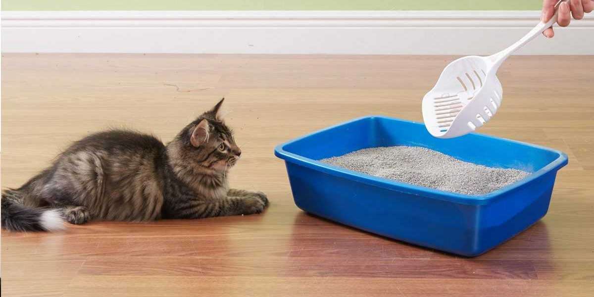 Global Cat Litter Market Is Estimated To Witness High Growth Owing To Increasing Pet Ownership And Rising Concerns Regar