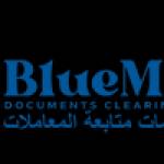 BlueMoon Attestation Profile Picture