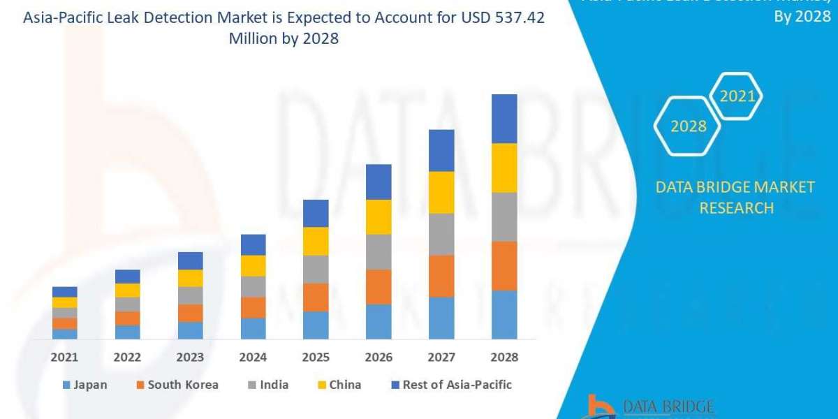 Asia-Pacific Leak Detection Market Growth, Industry Size-Share, Global Trends by 2028