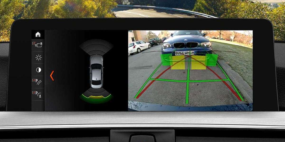 Largest segment driving the growth of Park Assist Camera Market