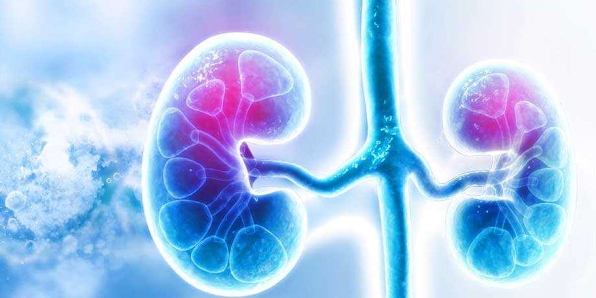 The Renal Biomarkers Market Is Estimated To Witness High Growth Owing To Increasing Prevalence Of Chronic Kidney Disease