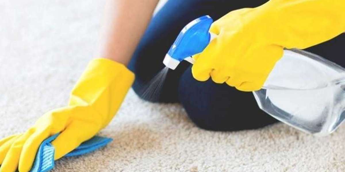 Enzymatic Cleaner Market is Estimated To Witness High Growth Owing To Increasing Demand for Eco-Friendly Cleaning Produc