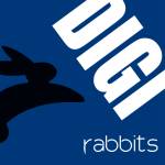 digirabbits Profile Picture