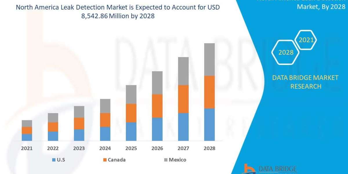 North America Leak Detection Market Size, Scope, Insight, Industry Experts, Demand by 2028