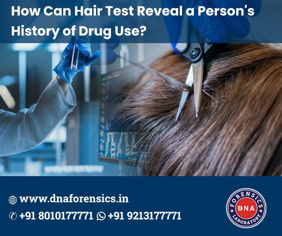 Understanding the Role of Hair Samples in Drug Testing - JustPaste.it