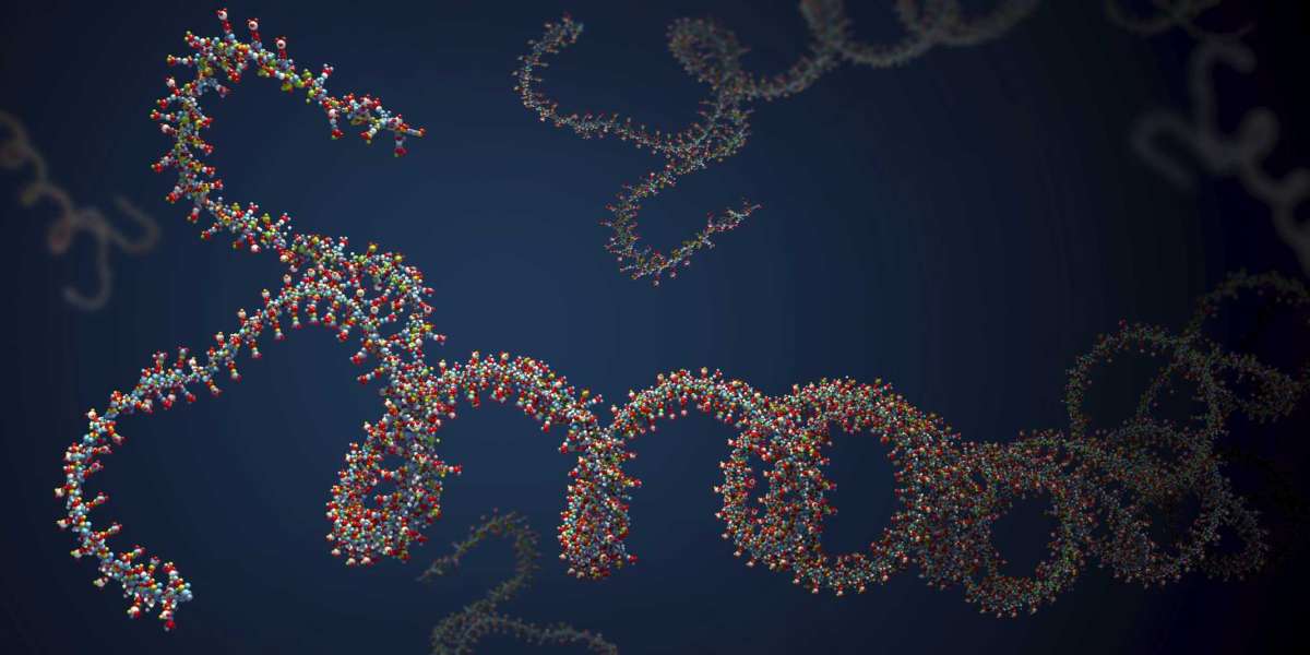 Ribonucleic Acid (RNA) Markers Market Estimated To Witness High Growth Owing To Rising Prevalence Of Genetic And Cardiov