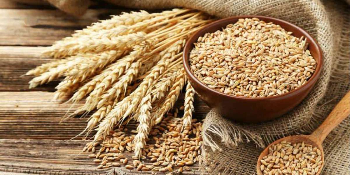 Nourishing Growth: A Comprehensive Overview of the Global Wheat Market Growth and Analysis 2024-2032