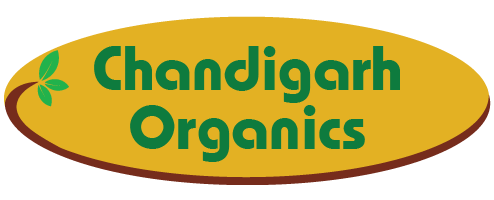 What is Organic Food, and Where Can You Buy It?