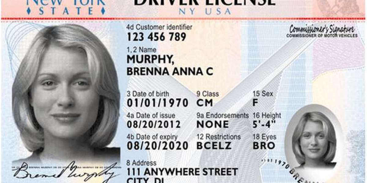 Drivers License Classes NY: Your Gateway to Safe and Legal Driving in New York