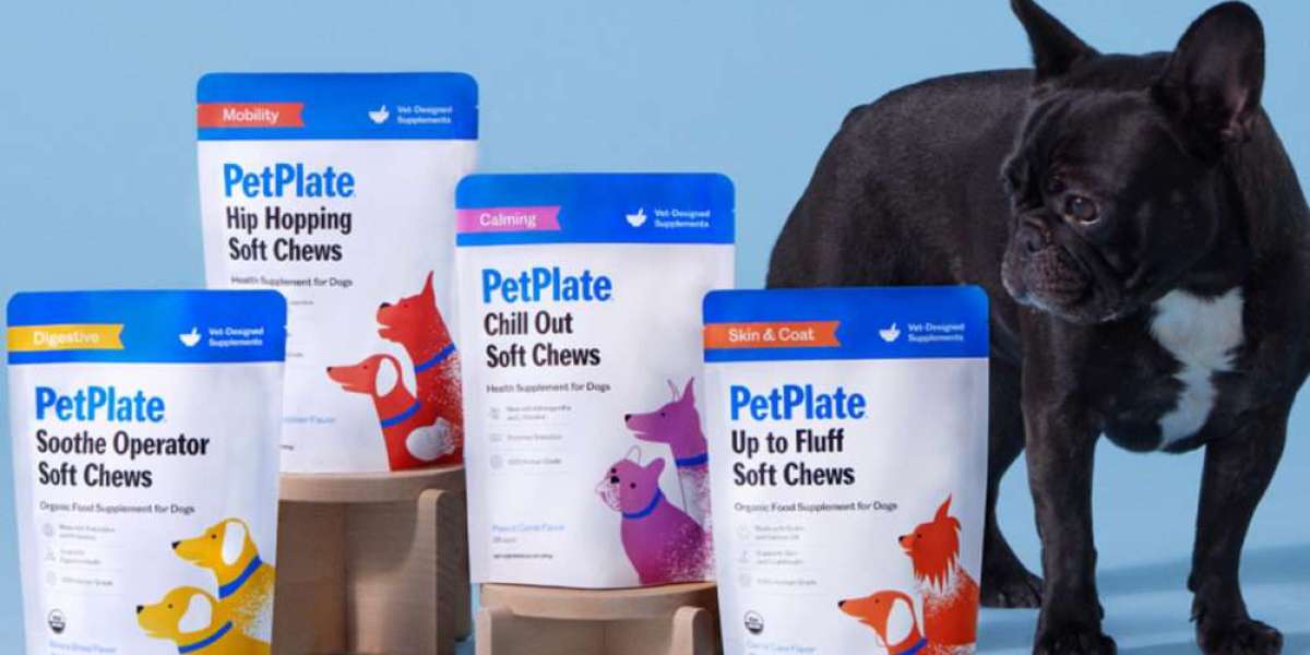 Tail-Wagging Wellness: Pet Supplements for Dogs