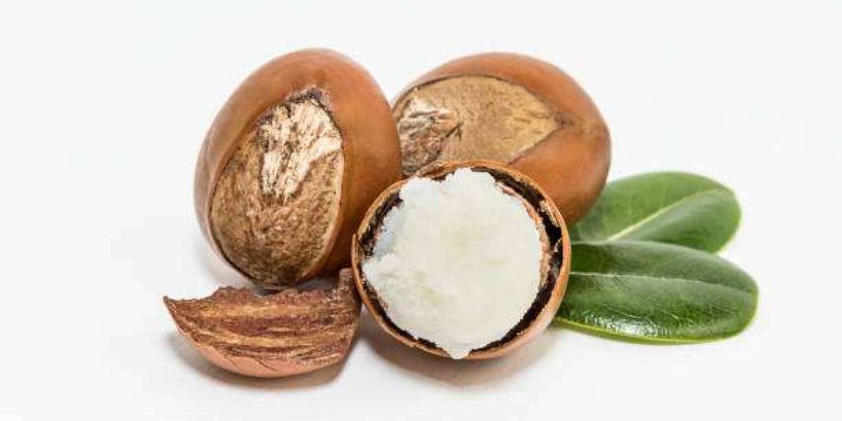 Shea Butter Market Report by Growth, and Competitor with Statistics, Forecast 2030