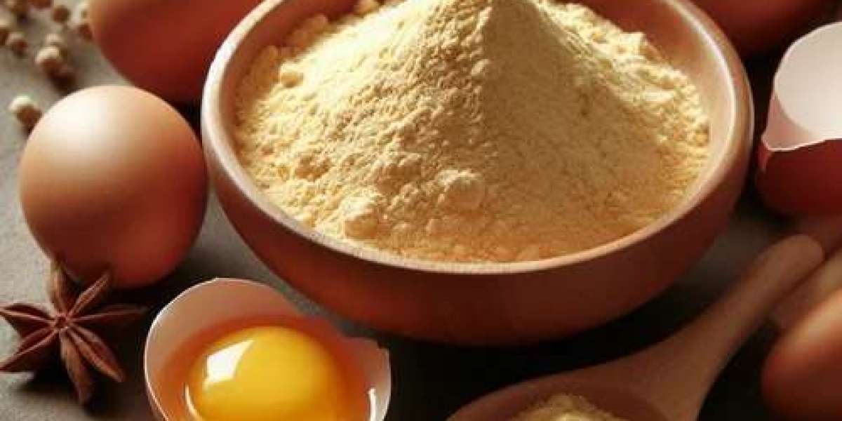 Comprehensive Approach to Setting Up a Whole Egg Powder Manufacturing Plant