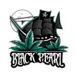 Black Pearl Madrid Profile Picture