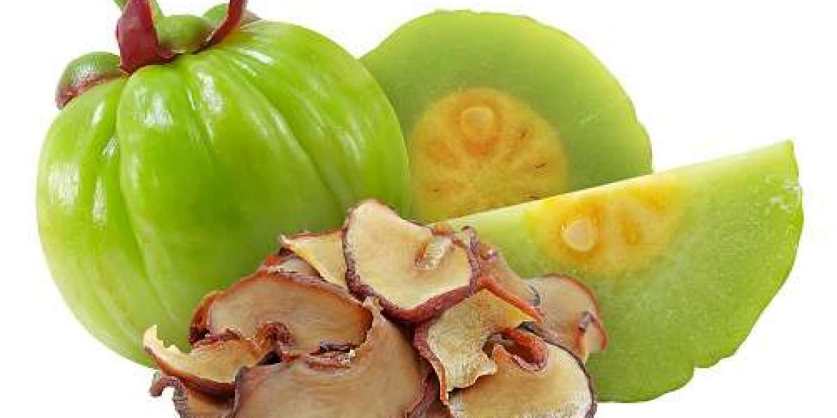 North America Garcinia Market Outlook, Current and Future Industry Landscape Analysis 2030