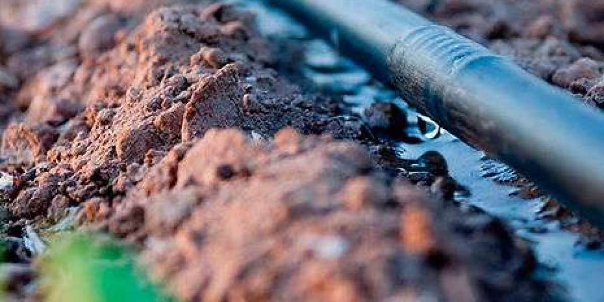 Efficient Watering with Drip Irrigation Systems