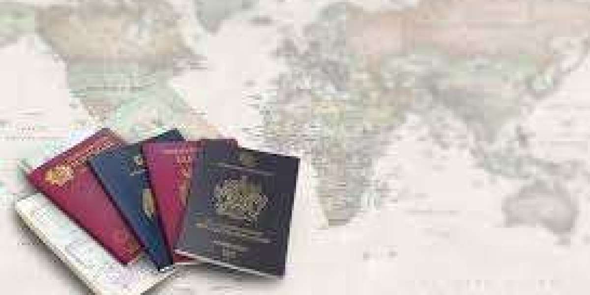 A Passport to Prosperity: Understanding Citizenship by Investment Programs
