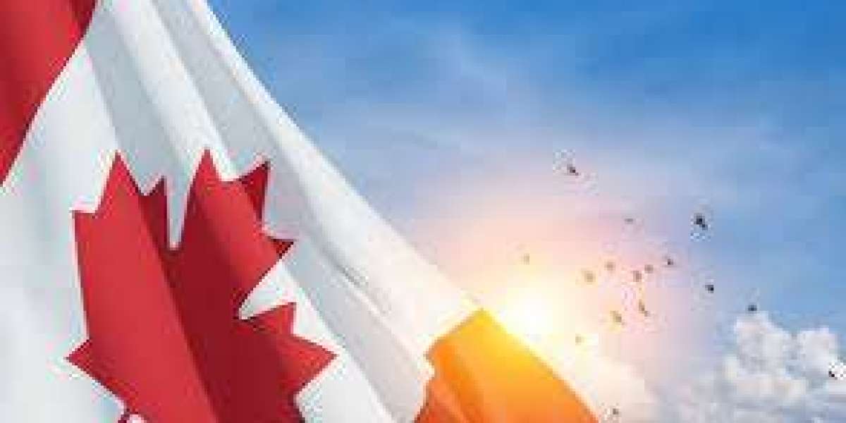 Understanding the Cost of MIM in Canada