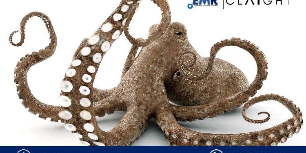 Unlocking the Mysteries of the Octopus Market: A Deep Dive Analysis